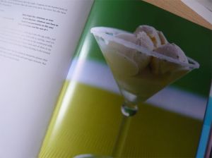 margarita-ice-cream