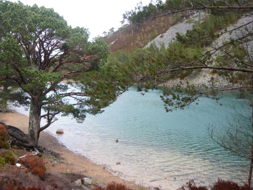 An Lochan Uaine P1080677