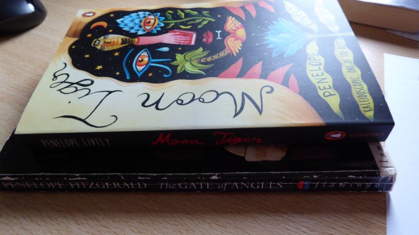 Moon Tiger Gate of Angels P1010674