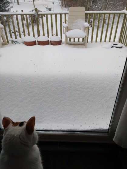 Heidi looking at the snow