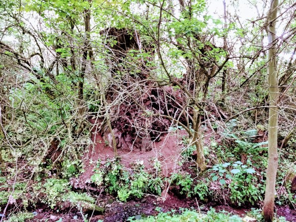 img_20180531_144219342