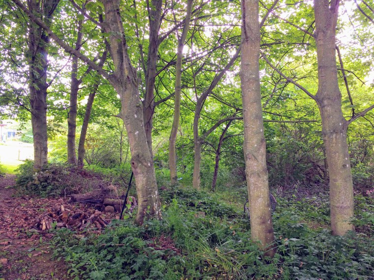 img_20180531_144448596