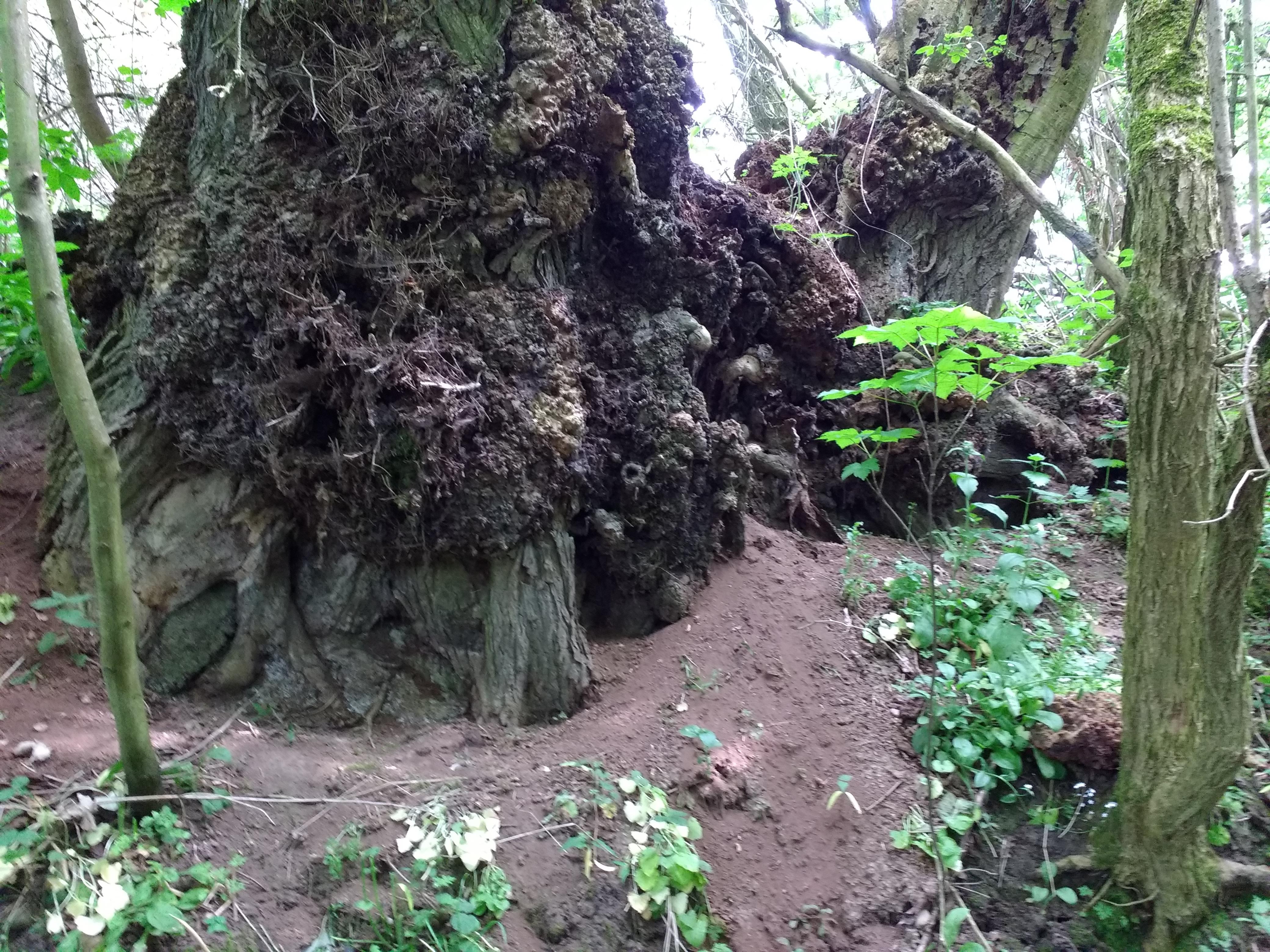 img_20180531_145535444