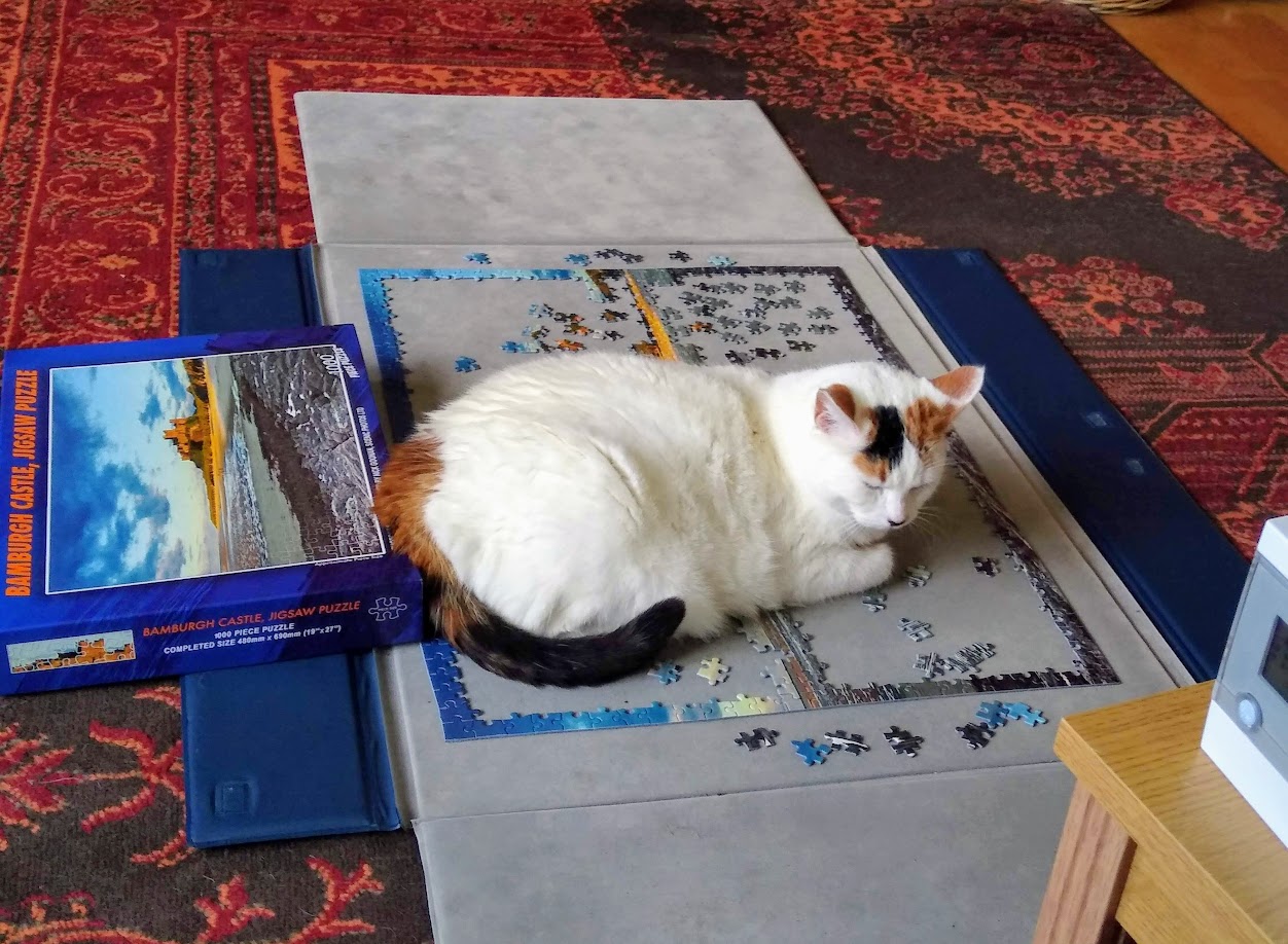 Bamburgh Castle Heidi