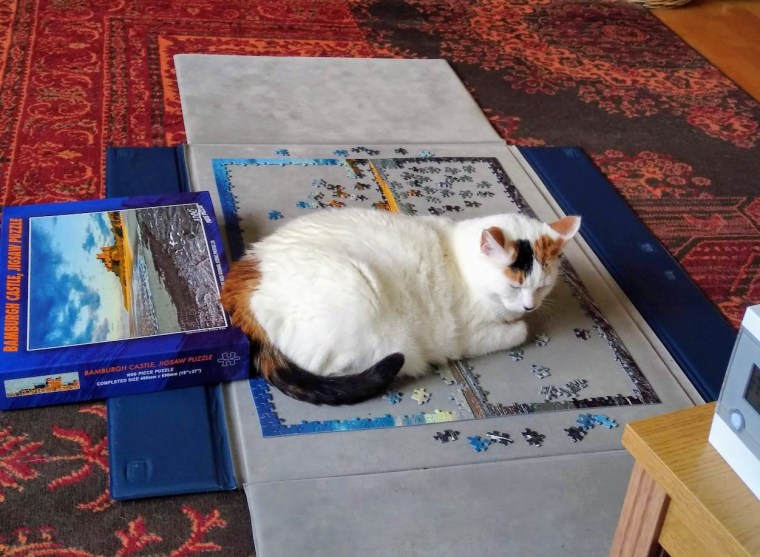 Bamburgh Castle Heidi